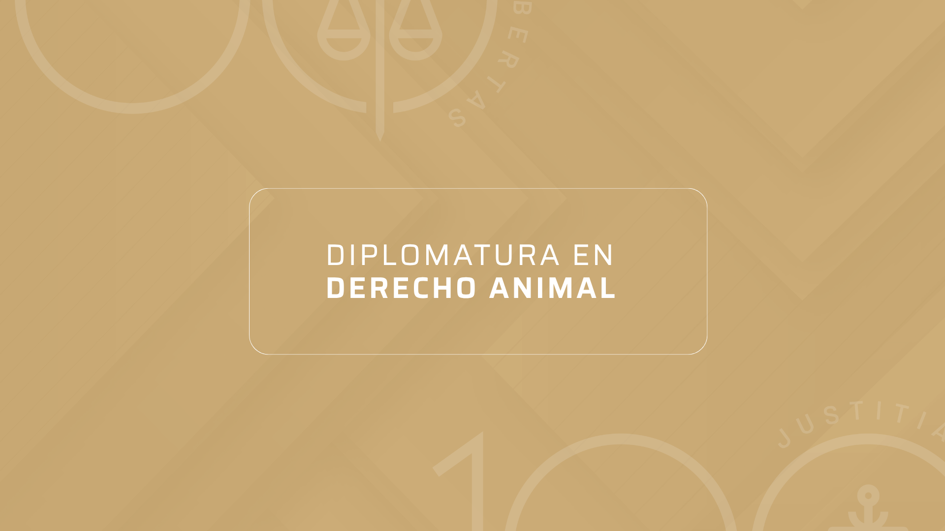 Diplomatura