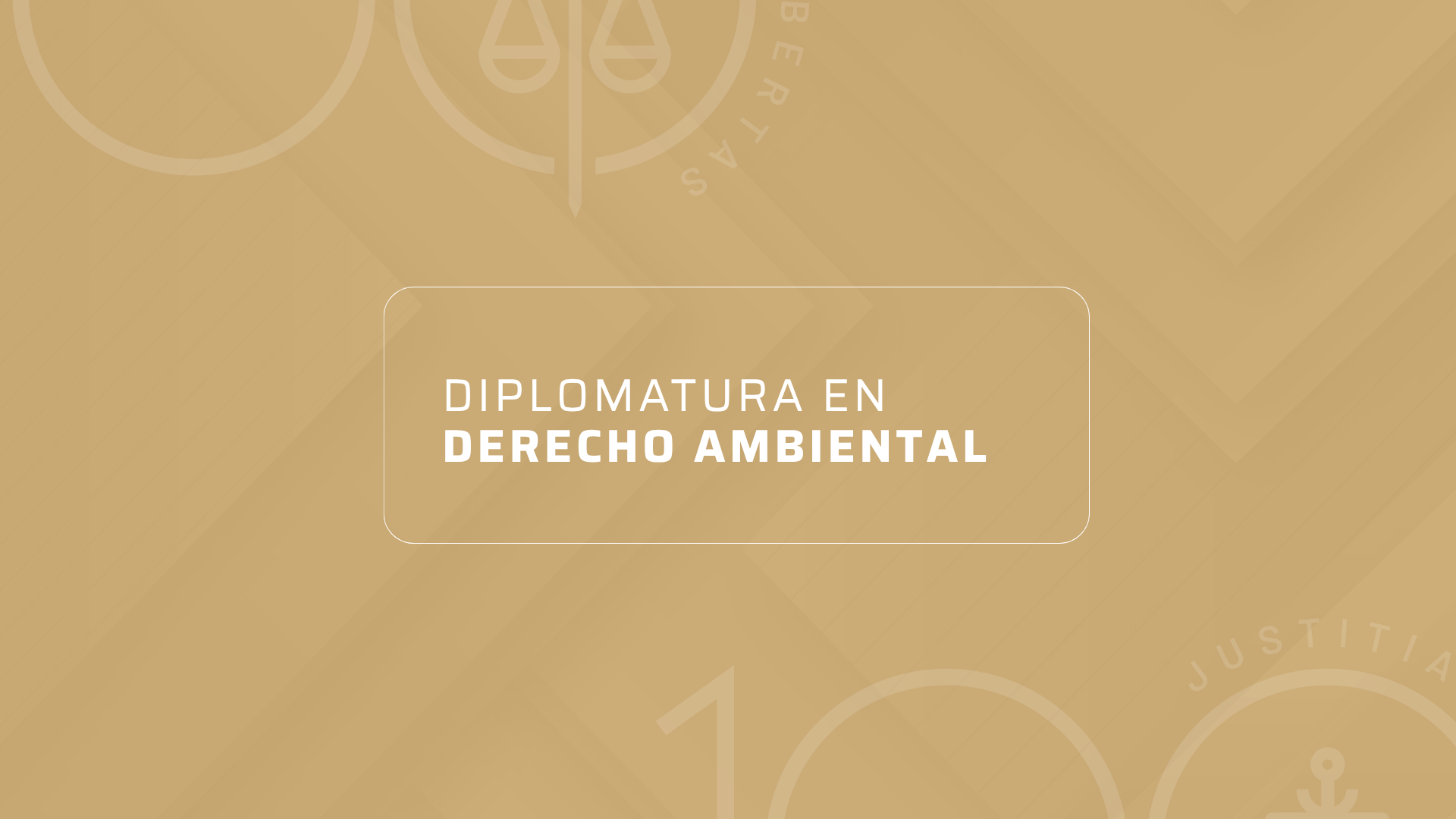 DIPLOMATURA